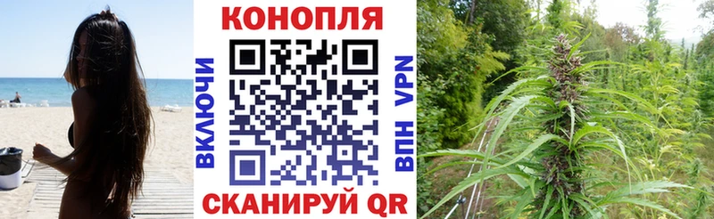 Марихуана MAZAR Никольское